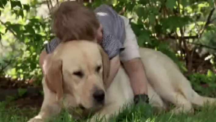 Photo illustrant les thématiques du site : enfant lisant un livre, animal de compagnie à ses côtés, et ambiance propice au développement personnel.